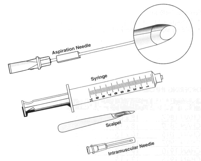 liver biopsy needle